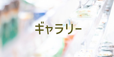 ギャラリー